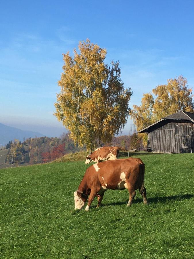 Séjour à la ferme Feichtingerhof *