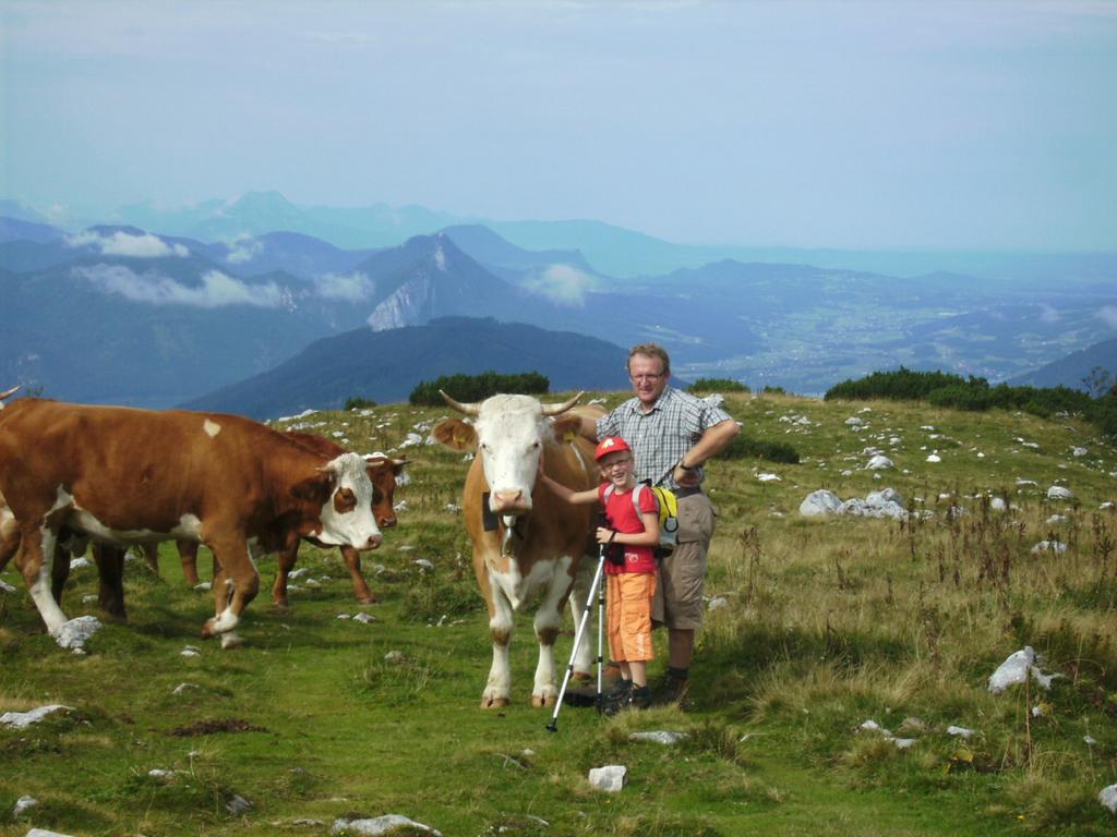 Feichtingerhof * Steinbach am Attersee