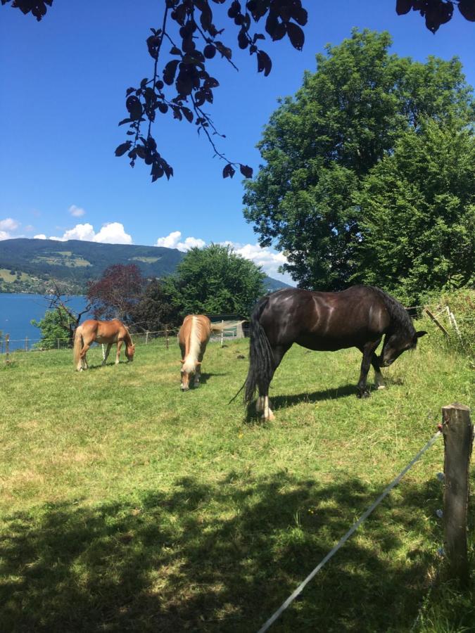 Feichtingerhof Farm stay *