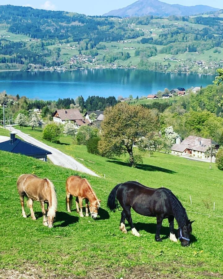 Feichtingerhof Farm stay