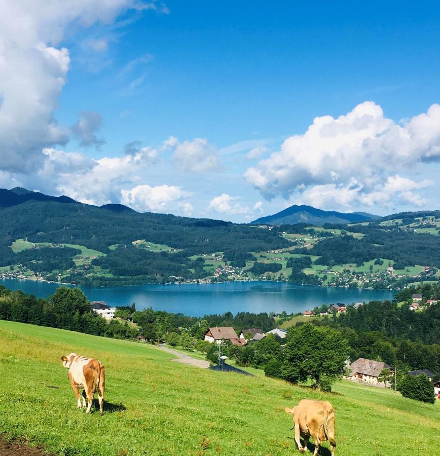 Feichtingerhof * Steinbach am Attersee