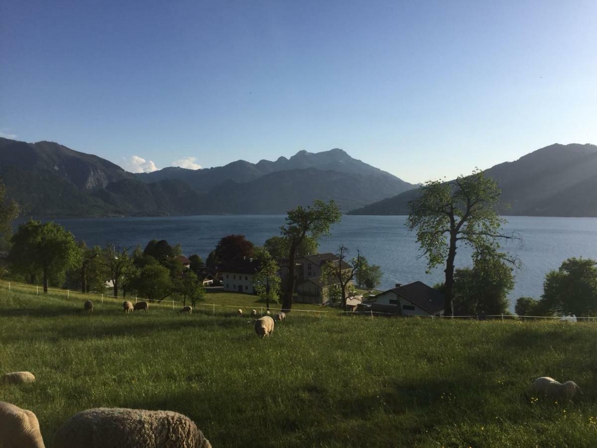 Farm stay Feichtingerhof Steinbach am Attersee